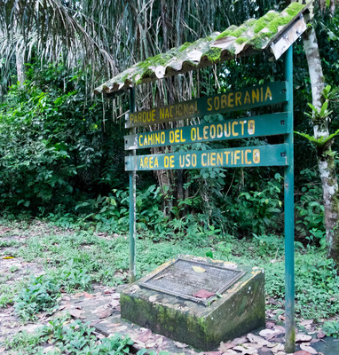 Panama--nighttime rainforest tour-s031-r3